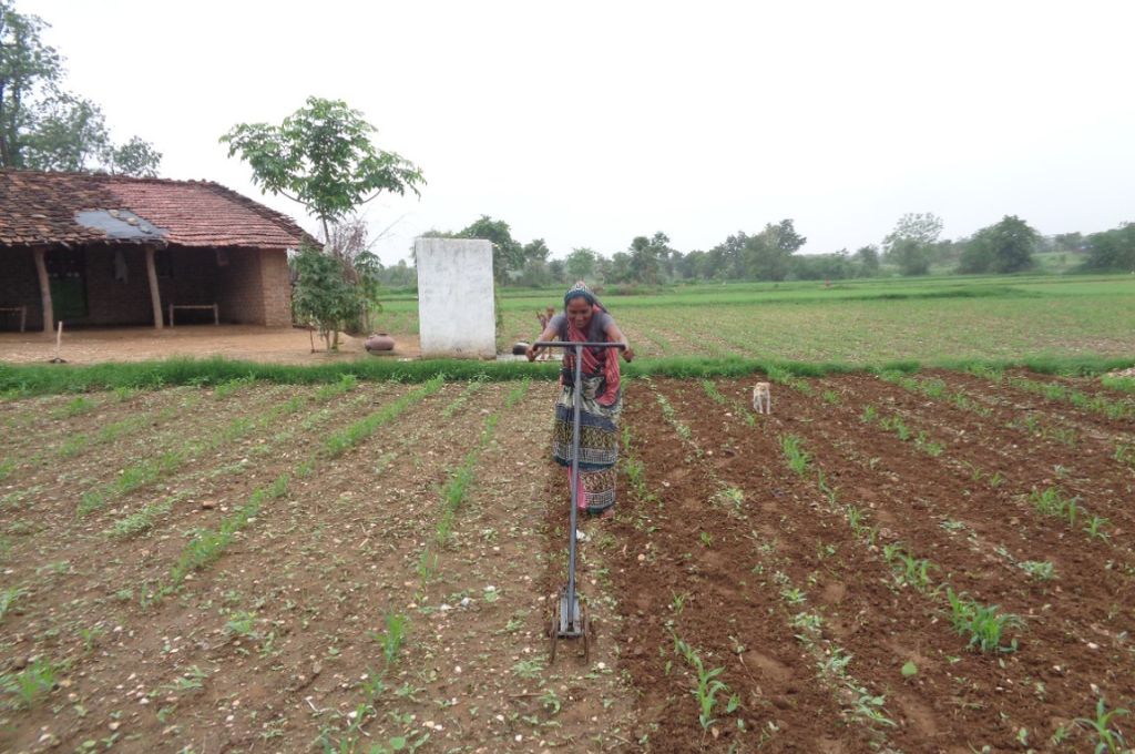 अटिबेन खेत में काम करते हुए-भूमि अधिकार