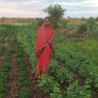 रेखा पंत्रे Picture