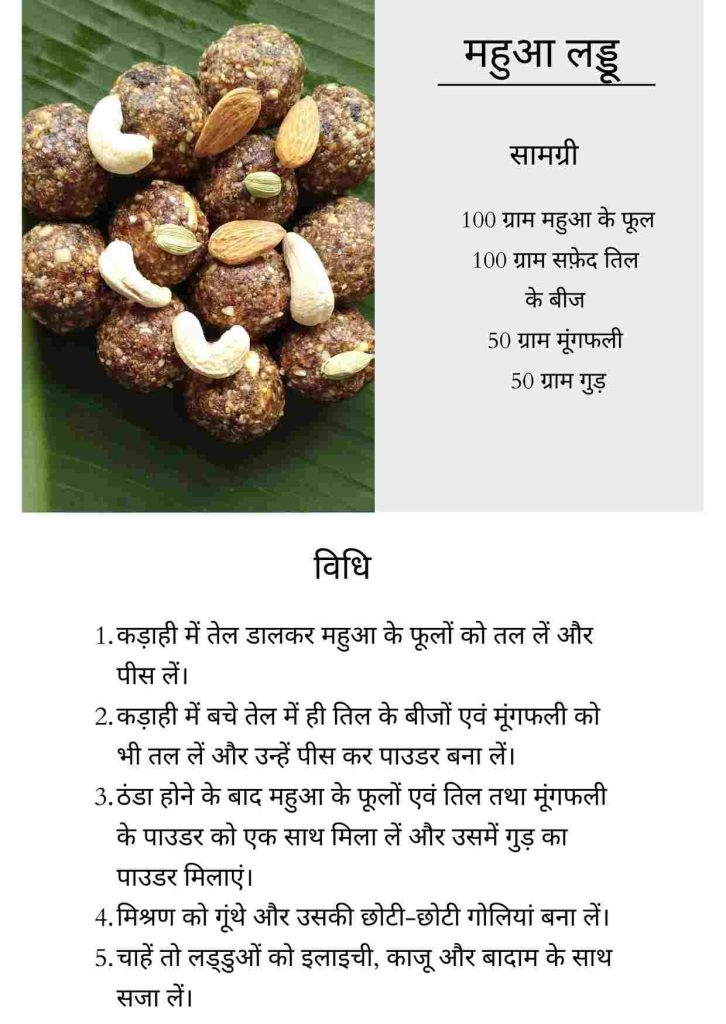 महुआ लड्डू रेसिपी-आदिवासी खाना