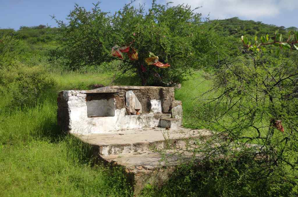 एक अधूरी संरचना और हरी घास_सार्वजनिक भूमि संरक्षण 