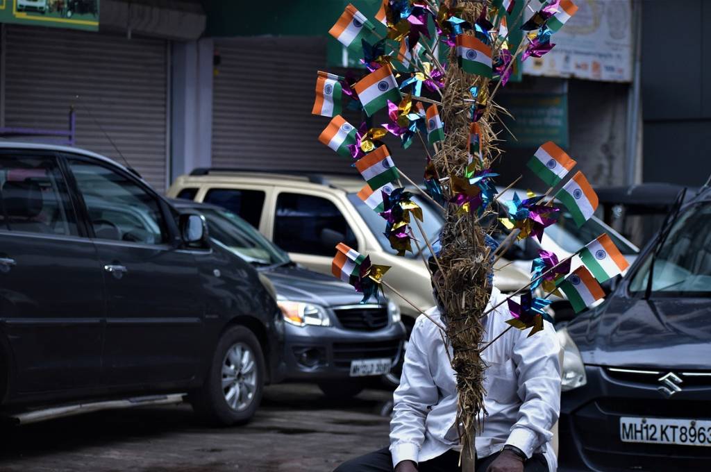 भारत के झंडे लिए एक आदमी_भारतीय संविधान
