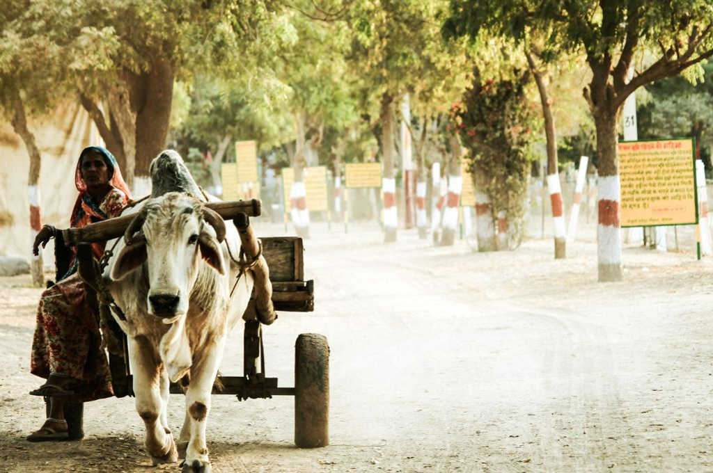 ऑनलाइन काम करने के साथ बच्चों की देखभाल करती महिला_वर्क फ्रॉम होम
