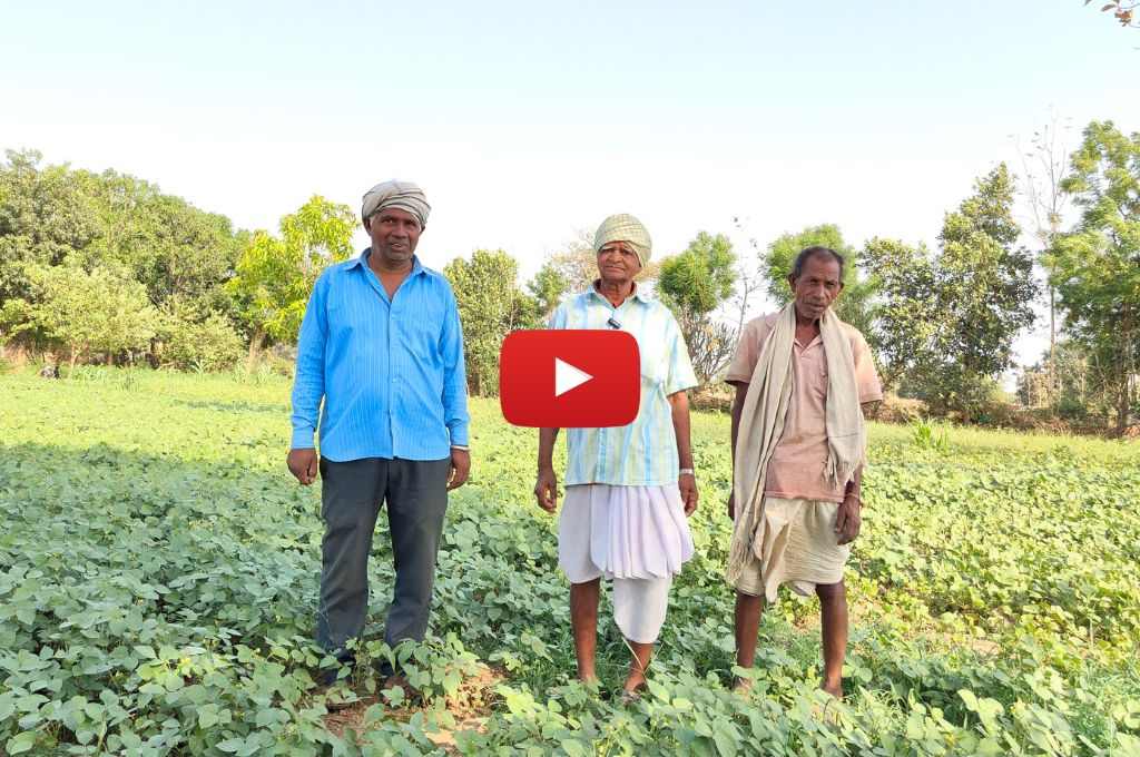 खेत में खड़े तीन किसान_मूंग की खेती