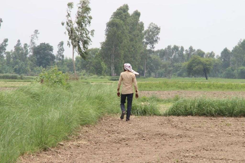 खेत पर एक व्यक्ति_थारू समुदाय