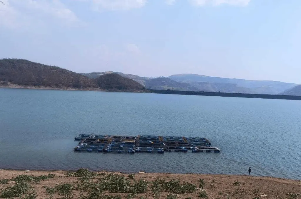 डिंभे बांध की तस्वीर_आदिवासी अधिकार