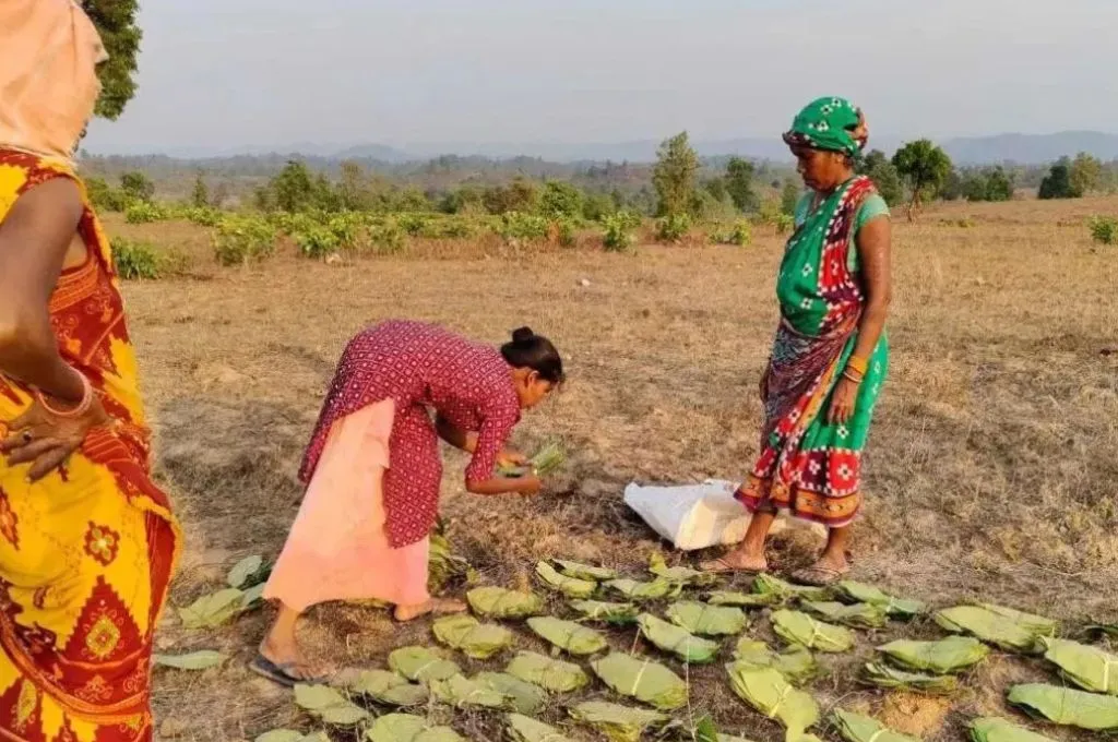 खेत में काम करती महिलाएं_कॉमन्स