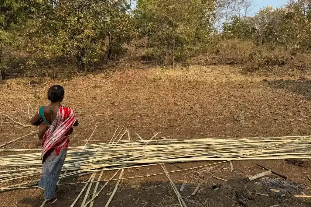 बच्चे को गोद में लिए पेड़ों को देखती एक महिला_बैगा