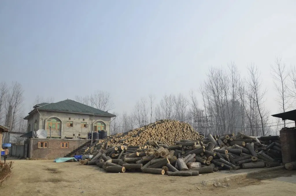 पेंसिल बनाने वाले एक कारखाने में खुले में रखा लकड़ी का ढेर_पेंसिल उद्योग